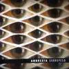 Sobrepeso - Anorexia